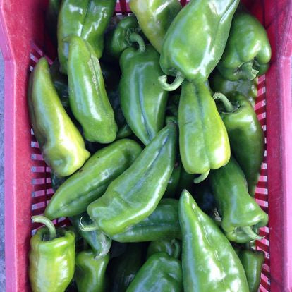 Bio Paprika Pesto Grün