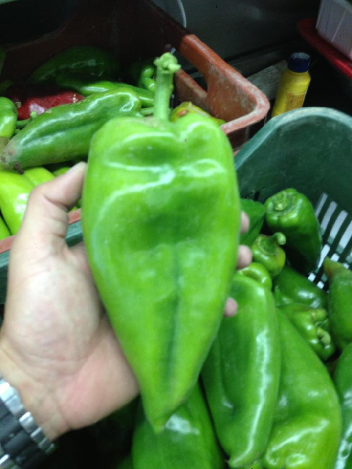 Bio Paprika Pesto Grün