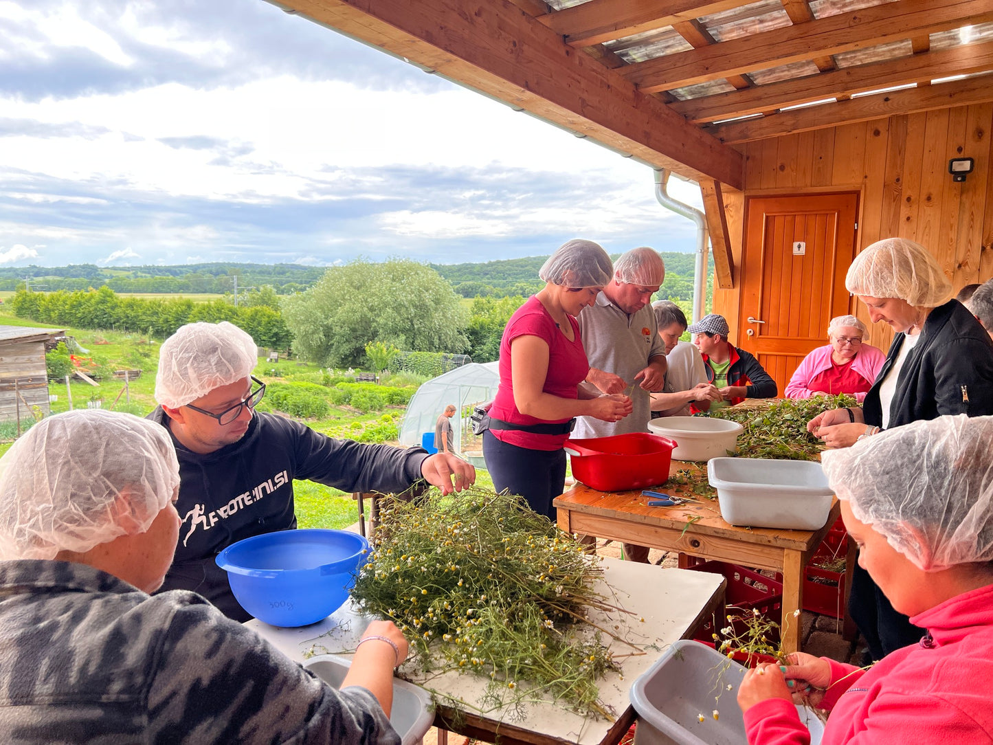 Bio Pikante Kräutersalzmischung