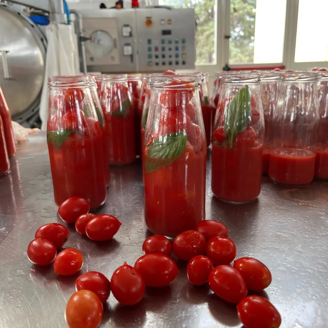BIO Sugo pronto Oliven & Kapern „ Perché ci Credo“