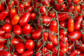 Laboratorio Pomodori Pelati Bio