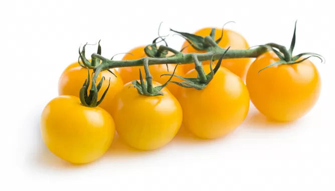 Laboratorio Pomodorini gialli in passata Bio