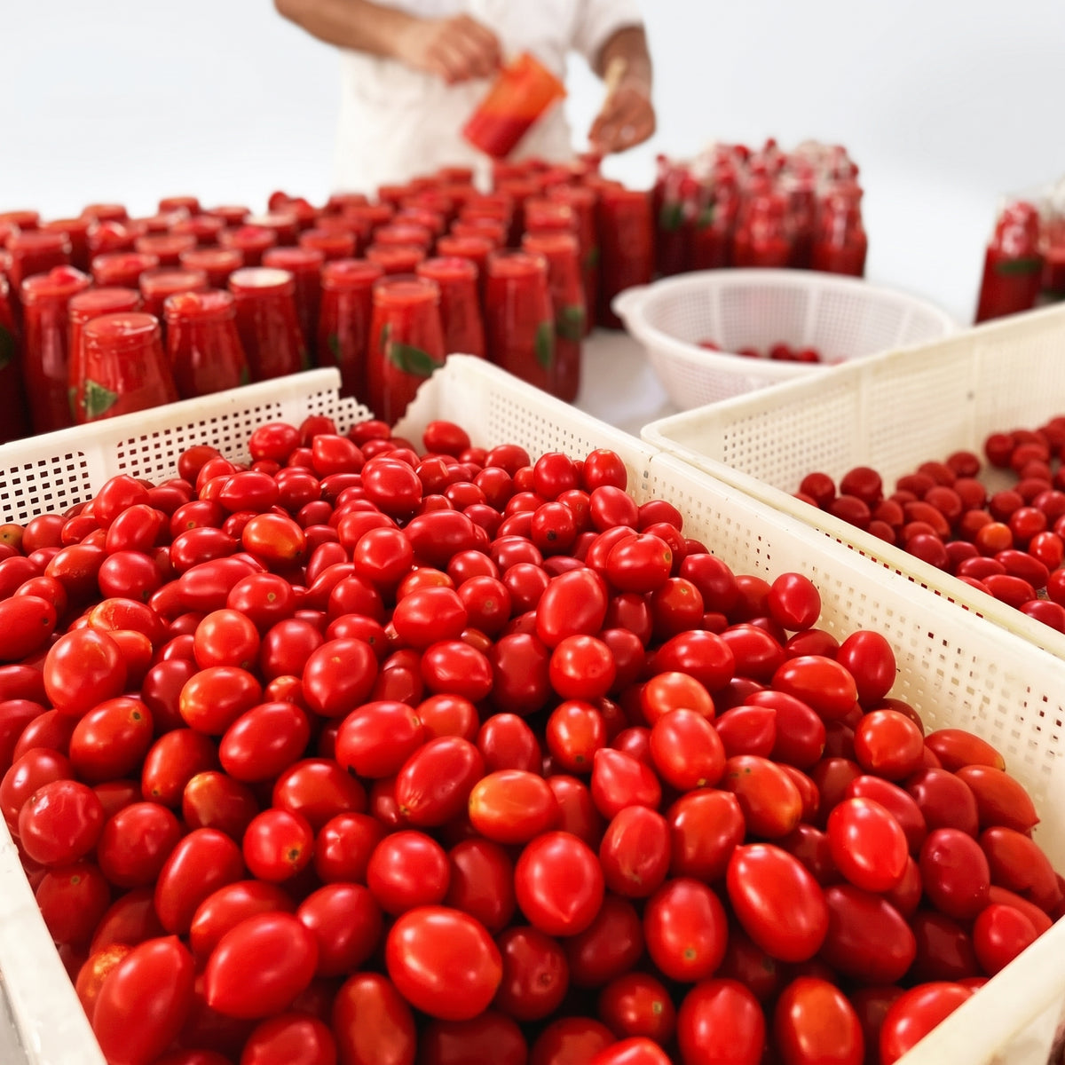 BIO Sugo pronto  Peperoni & Auberginen