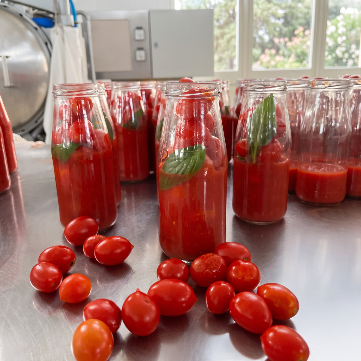 BIO Sugo pronto  Peperoni & Auberginen