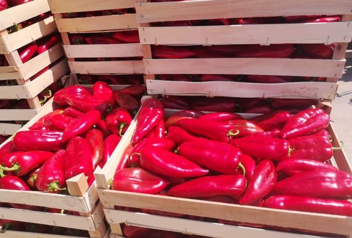 Bio Ajvar pikant Greenfood