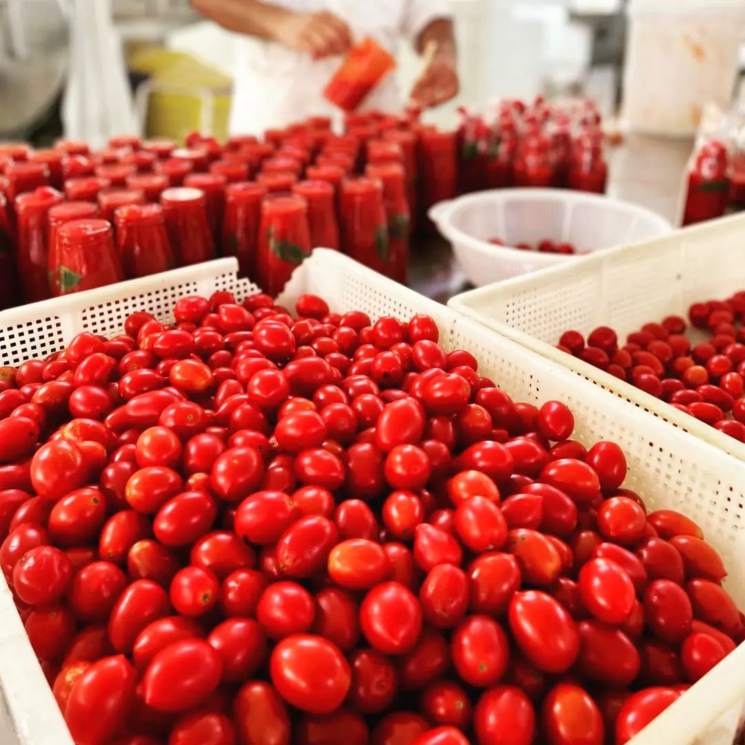 BIO Sugo pronto Peperoncino „ Perché ci Credo“
