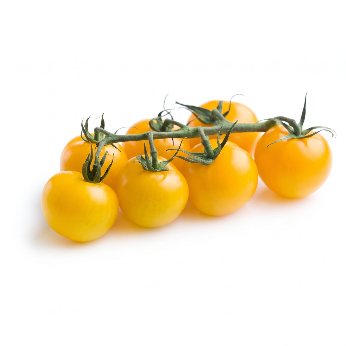 Laboratorio Pomodorini gialli in passata Bio
